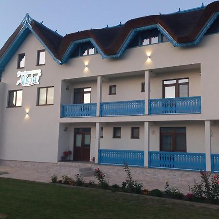 Pensiunea Alicia Юриловка Екстериор снимка