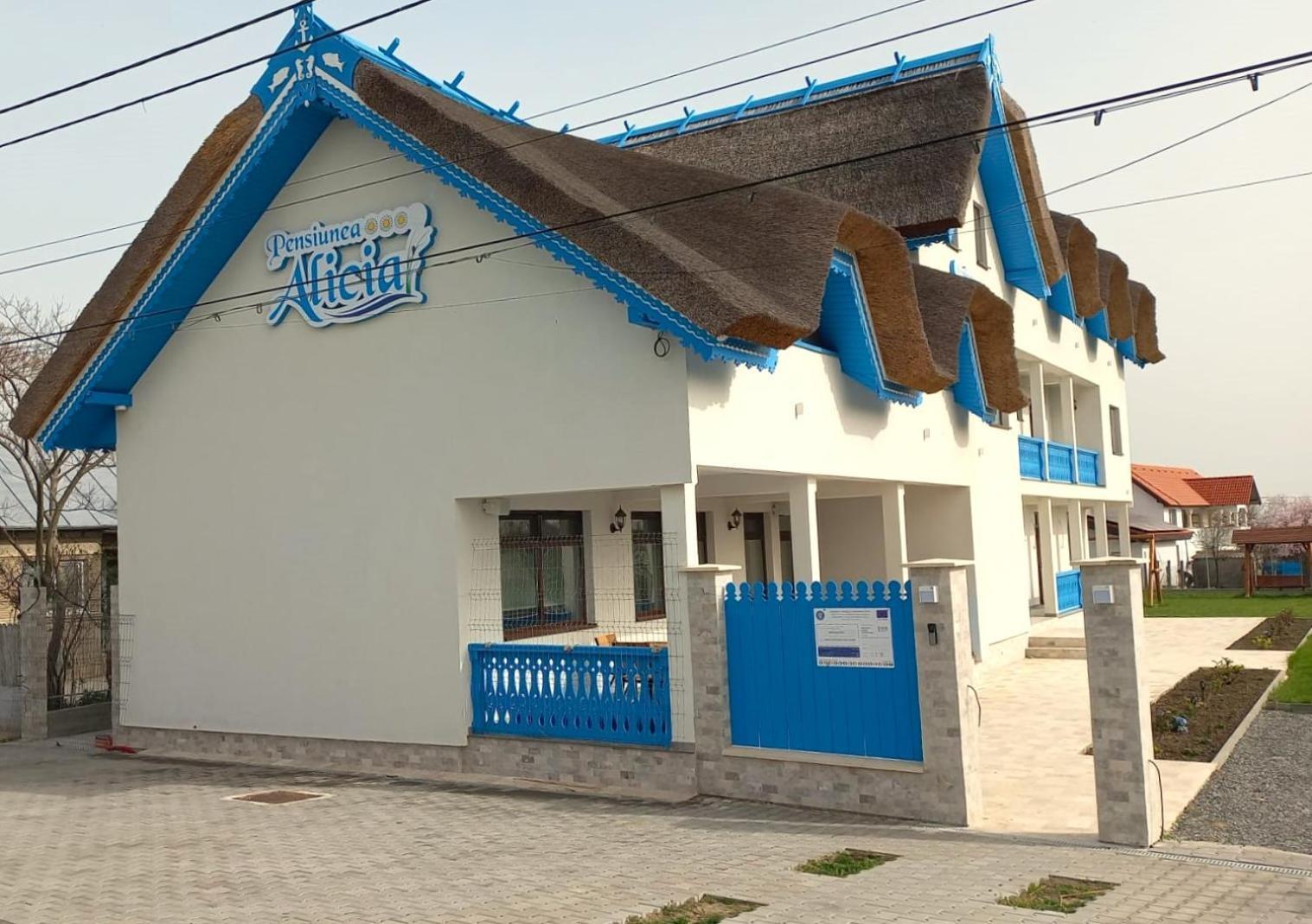 Pensiunea Alicia Юриловка Екстериор снимка